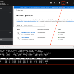Launching an OCP Web Command Line Terminal